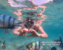 Underwater Odyssey snorkeling tour from Pattaya Thailand photo 14298