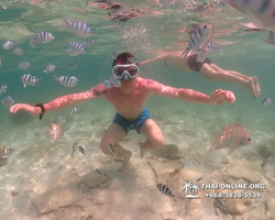 Underwater Odyssey snorkeling tour from Pattaya Thailand photo 18359