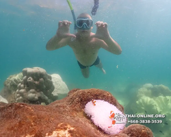 Underwater Odyssey snorkeling excursion Pattaya Thailand photo 19421