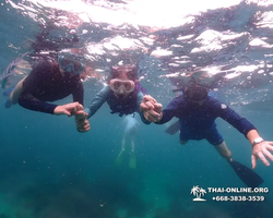 Underwater Odyssey snorkeling excursion in Pattaya Thailand photo 29