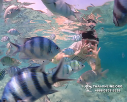 Underwater Odyssey snorkeling excursion Pattaya Thailand photo 11244