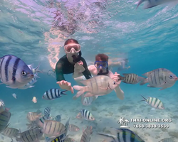 Underwater Odyssey snorkeling excursion Pattaya Thailand photo 11104