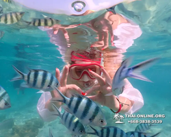 Underwater Odyssey snorkeling tour from Pattaya Thailand photo 14447
