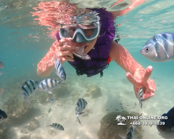 Underwater Odyssey snorkeling excursion Pattaya Thailand photo 19145