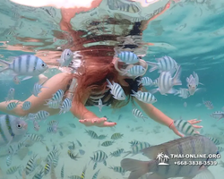 Underwater Odyssey snorkeling excursion in Pattaya Thailand photo 41