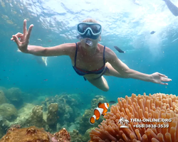 Underwater Odyssey snorkeling tour from Pattaya Thailand photo 14333
