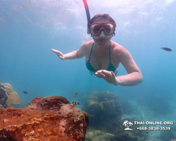 Underwater Odyssey snorkeling excursion in Pattaya Thailand photo 576