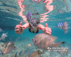 Underwater Odyssey snorkeling tour from Pattaya Thailand photo 14278