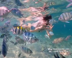 Underwater Odyssey snorkeling excursion Pattaya Thailand photo 11243