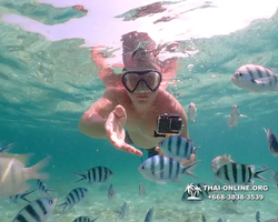 Underwater Odyssey snorkeling tour from Pattaya Thailand photo 18355