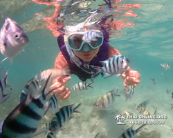 Underwater Odyssey snorkeling excursion Pattaya Thailand photo 19280