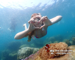 Underwater Odyssey snorkeling excursion Pattaya Thailand photo 11572