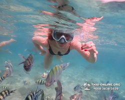 Underwater Odyssey snorkeling tour from Pattaya Thailand photo 14523