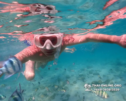 Underwater Odyssey snorkeling excursion Pattaya Thailand photo 11134
