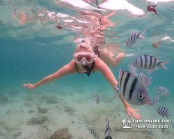 Underwater Odyssey snorkeling excursion in Pattaya Thailand photo 203