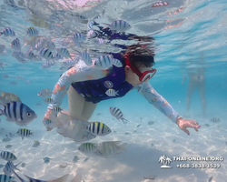 Underwater Odyssey snorkeling excursion in Pattaya Thailand photo 808