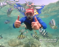 Underwater Odyssey snorkeling excursion Pattaya Thailand photo 14822