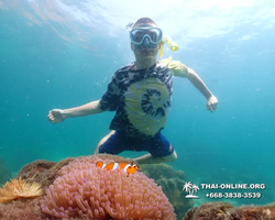 Underwater Odyssey snorkeling tour from Pattaya Thailand photo 18441