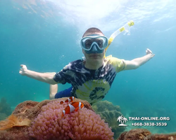 Underwater Odyssey snorkeling tour from Pattaya Thailand photo 18609