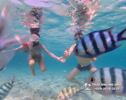 Underwater Odyssey snorkeling excursion Pattaya Thailand photo 11068