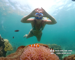 Underwater Odyssey snorkeling tour from Pattaya Thailand photo 18505