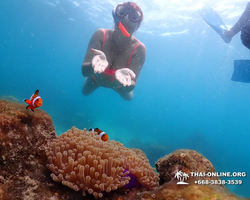 Underwater Odyssey snorkeling excursion in Pattaya Thailand photo 864