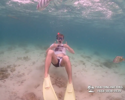 Underwater Odyssey snorkeling excursion in Pattaya Thailand photo 295