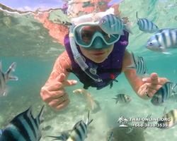 Underwater Odyssey snorkeling excursion Pattaya Thailand photo 19340