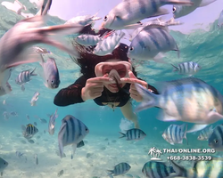 Underwater Odyssey snorkeling excursion Pattaya Thailand photo 11210