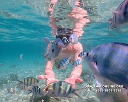 Underwater Odyssey snorkeling tour from Pattaya Thailand photo 14168