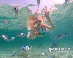 Underwater Odyssey snorkeling tour from Pattaya Thailand photo 18438