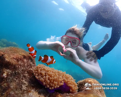 Underwater Odyssey snorkeling excursion in Pattaya Thailand photo 622