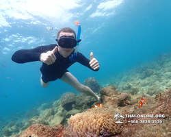 Underwater Odyssey snorkeling excursion Pattaya Thailand photo 11379