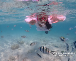 Underwater Odyssey snorkeling excursion in Pattaya Thailand photo 549