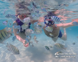 Underwater Odyssey snorkeling excursion in Pattaya Thailand photo 842