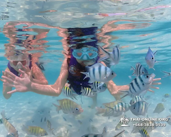 Underwater Odyssey snorkeling excursion in Pattaya Thailand photo 680