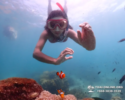 Underwater Odyssey snorkeling excursion in Pattaya Thailand photo 575