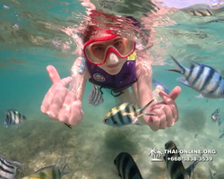 Underwater Odyssey snorkeling excursion Pattaya Thailand photo 19382