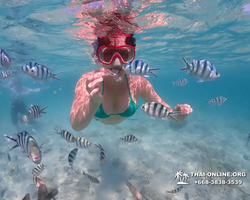 Underwater Odyssey snorkeling excursion in Pattaya Thailand photo 465