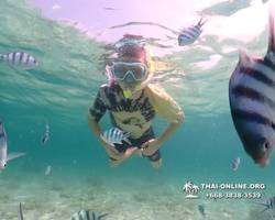 Underwater Odyssey snorkeling tour from Pattaya Thailand photo 18550
