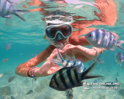 Underwater Odyssey snorkeling tour from Pattaya Thailand photo 14256