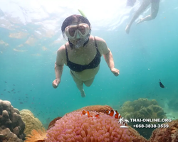 Underwater Odyssey snorkeling tour from Pattaya Thailand photo 18631