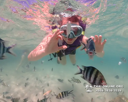 Underwater Odyssey snorkeling excursion Pattaya Thailand photo 19346