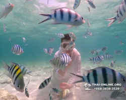 Underwater Odyssey snorkeling tour from Pattaya Thailand photo 18536