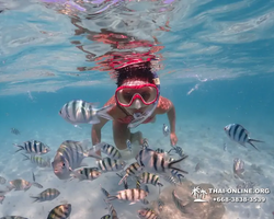 Underwater Odyssey snorkeling excursion in Pattaya Thailand photo 487