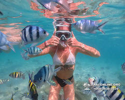 Underwater Odyssey snorkeling tour from Pattaya Thailand photo 14263