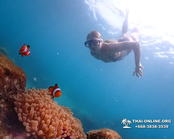 Underwater Odyssey snorkeling excursion in Pattaya Thailand photo 1032