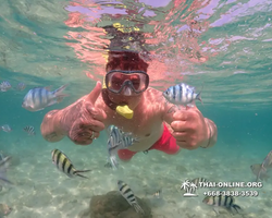 Underwater Odyssey snorkeling excursion Pattaya Thailand photo 14876