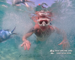 Underwater Odyssey snorkeling excursion Pattaya Thailand photo 11224
