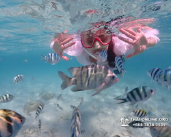 Underwater Odyssey snorkeling excursion in Pattaya Thailand photo 466